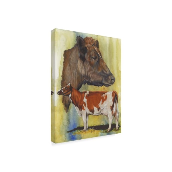 Barbara Keith 'Ayrshire Cows' Canvas Art,18x24